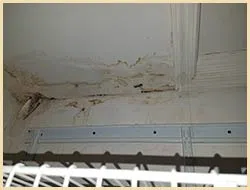 Lake Worth Restoration Company Lake Worth, FL 561-342-1965 Lake Worth Restoration Company Lake Worth, FL 561-342-1965