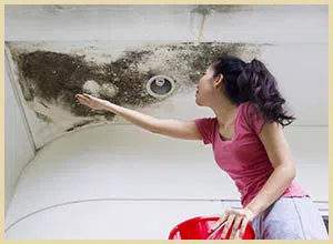 Lake Worth Restoration Company Lake Worth, FL 561-342-1965 Lake Worth Restoration Company Lake Worth, FL 561-342-1965