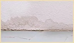 Lake Worth Restoration Company Lake Worth, FL 561-342-1965 Lake Worth Restoration Company Lake Worth, FL 561-342-1965