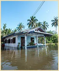Lake Worth Restoration Company Lake Worth, FL 561-342-1965 Lake Worth Restoration Company Lake Worth, FL 561-342-1965