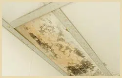 Lake Worth Restoration Company Lake Worth, FL 561-342-1965